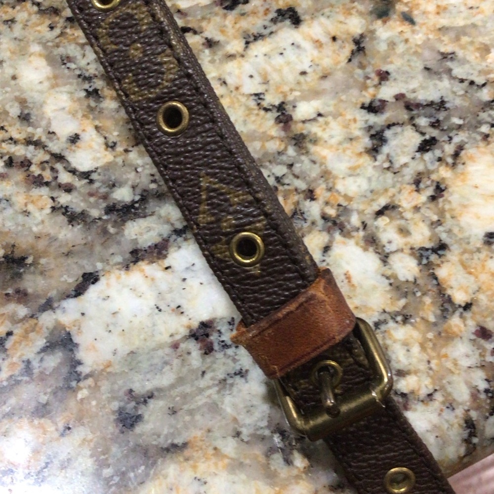 Louis Vuitton Vintage Amazon Monogram Crossbody Bag - Picture 9 of 15